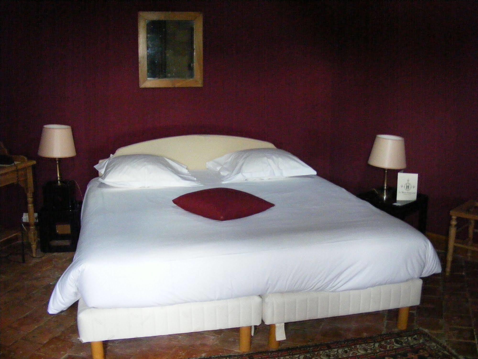 Chateau De Chissay, Hotel De Charme Pres De Chenonceau Et Le Zoo De Beauval ภายนอก รูปภาพ