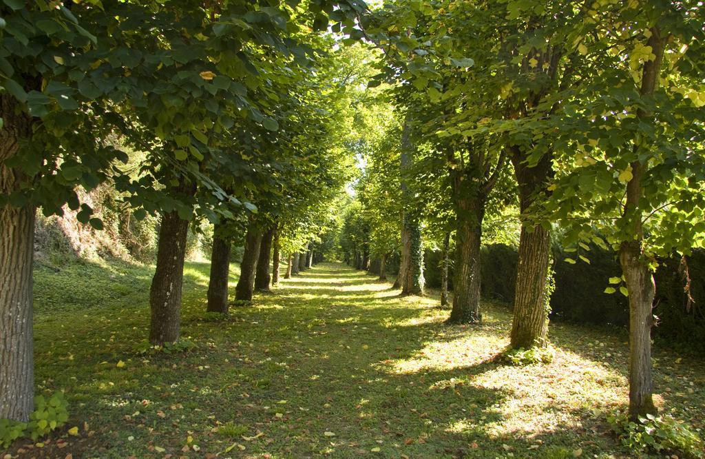 Chateau De Chissay, Hotel De Charme Pres De Chenonceau Et Le Zoo De Beauval ภายนอก รูปภาพ